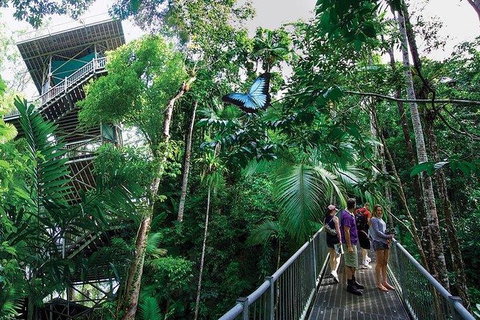 Daintree Discovery Centre Family Pass Ticket - Accommodation VIC 2