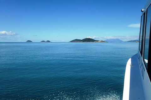 Fozzy\'s 3 Hour, 3 Island Tour - Accommodation VIC 7