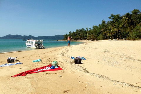 Fozzy\'s 3 Hour, 3 Island Tour - Accommodation VIC 6