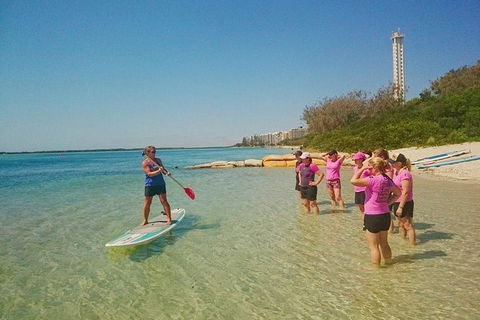 Golden Beach 1-Hour Stand-Up Paddleboard Hire On The Sunshine Coast - Accommodation VIC 0
