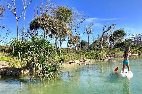 Golden Beach 1-Hour Stand-Up Paddleboard Hire On The Sunshine Coast - Accommodation VIC 2