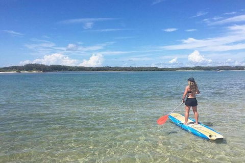 Golden Beach 1-Hour Stand-Up Paddleboard Hire On The Sunshine Coast - Accommodation VIC 1