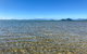 Exclusive Double Island Boat Tours From Palm Cove - thumb 12