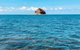 Exclusive Double Island Boat Tours From Palm Cove - thumb 10