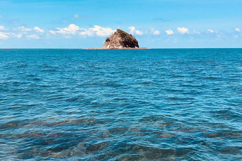 Exclusive Double Island Boat Tours From Palm Cove - Accommodation VIC 10