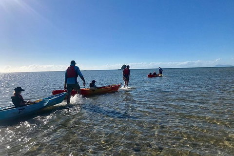 Exclusive Double Island Boat Tours From Palm Cove - Accommodation VIC 3
