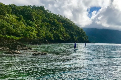 Exclusive Double Island Boat Tours From Palm Cove - Accommodation VIC 13