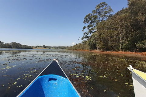Noosa Hinterland Scenic Canoe Tour - Accommodation VIC 2