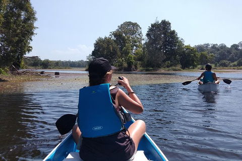 Noosa Hinterland Scenic Canoe Tour - Accommodation VIC 6