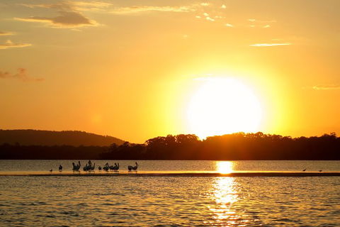 Noosa River Cruise For 3 To 4 People On A Classic Mahogany Speed Boat - 90 Min. - Accommodation VIC 6