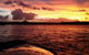 Noosa River Cruise For 3 To 4 People On A Classic Mahogany Speed Boat - 90 Min. - thumb 12