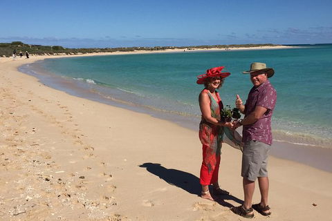 Elope In Paradise - Weddings At Mission Beach - Accommodation VIC 6