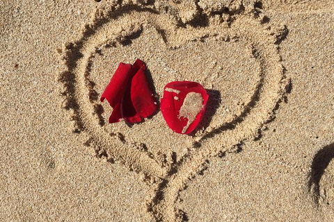 Elope In Paradise - Weddings At Mission Beach - Accommodation VIC 3