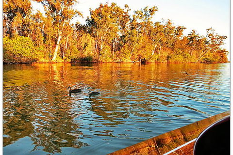 Noosa River Cruise For 2 People On A Classic Mahogany Speed Boat - 90 Min. - Accommodation VIC 23