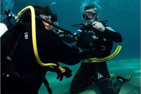 Gold Coast Try-Scuba Experience At Cook Island Aquatic Reserve - Accommodation VIC 2