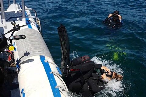 Gold Coast Try-Scuba Experience At Cook Island Aquatic Reserve - Accommodation VIC 5