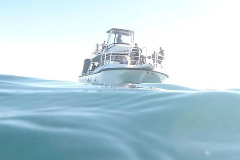 Gold Coast Try-Scuba Experience At Cook Island Aquatic Reserve - Accommodation VIC 7