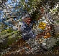 4-Day Australian Outback Tour from the Gold Coast to Sydney