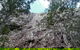 Noosa Hinterland Scenic Canoe & Abseil Tour - thumb 5