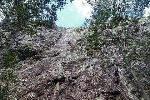 Noosa Hinterland Scenic Canoe & Abseil Tour - Accommodation VIC 5