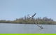 Noosa Hinterland Scenic Canoe & Abseil Tour - thumb 7