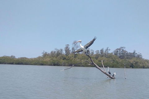 Noosa Hinterland Scenic Canoe & Abseil Tour - Accommodation VIC 7