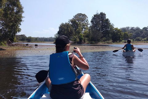 Noosa Hinterland Scenic Canoe & Abseil Tour - Accommodation VIC 4