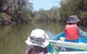 Noosa Hinterland Scenic Canoe & Abseil Tour - thumb 8