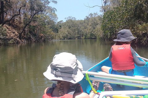 Noosa Hinterland Scenic Canoe & Abseil Tour - Accommodation VIC 8