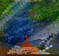 Private Tour - Rainforest  Waterfalls Extravaganza - Accommodation VIC