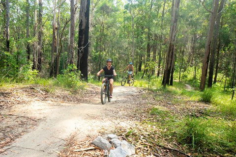 Surf Lesson, EMtn Bike, Local Brewery = One Epic Day Tour - Accommodation VIC 1