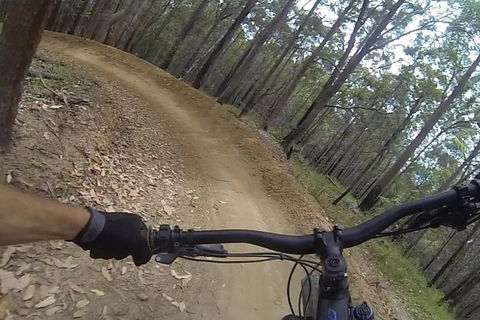 Surf Lesson, EMtn Bike, Local Brewery = One Epic Day Tour - Accommodation VIC 24