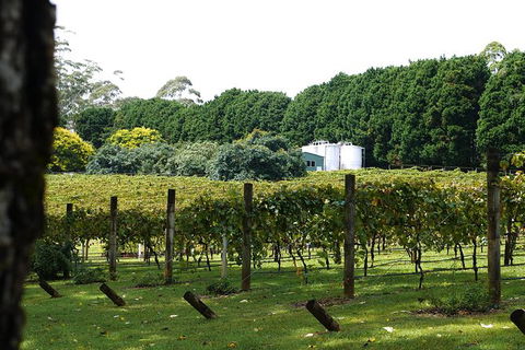 Birthday Tour - Accommodation VIC 6