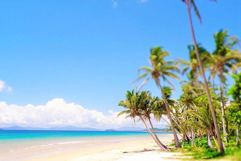 Airport Transfer - Cairns Airport To Mission Beach - Accommodation VIC 1