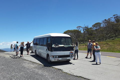 Self-guided Coast Walks - Noosa To Sydney 6 Days ( Dep 25 Sep 2019, 24 Sep 2020) - Accommodation VIC 1