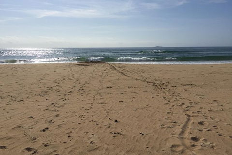 Self-guided Coast Walks - Noosa To Sydney 6 Days ( Dep 25 Sep 2019, 24 Sep 2020) - Accommodation VIC 5