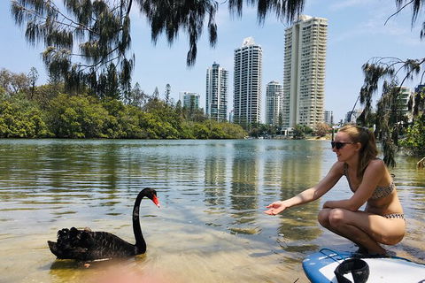 Private Lesson- Stand Up Paddle, Learn & Improve - Accommodation VIC 4