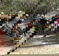 Gold Coast Mountain Bike Tour