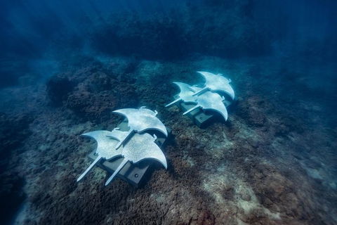 Premium Private Charter - Accommodation VIC 8