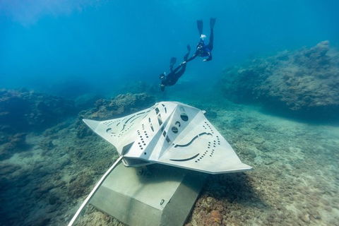 Premium Private Charter - Accommodation VIC 10
