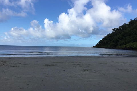 Daintree Luxury Limousine Tour - Full Day - Accommodation VIC 6