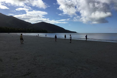 Daintree Luxury Limousine Tour - Full Day - Accommodation VIC 5