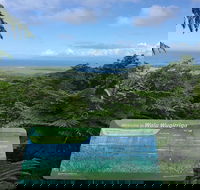 Daintree Luxury Limousine Tour - Full Day - Accommodation VIC