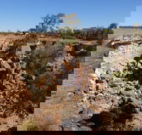 Bladensburg National Park Half Day Tour - Accommodation VIC