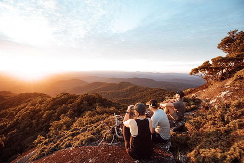 Cairns Rainforest Hiking Experience Incredible Mountains Remote Waterfall - Accommodation VIC 6