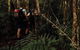 Cairns Rainforest Hiking Experience Incredible Mountains Remote Waterfall - thumb 2
