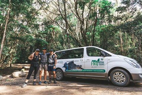 Cairns Rainforest Hiking Experience Incredible Mountains Remote Waterfall - Accommodation VIC 5