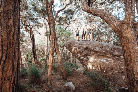 Cairns Rainforest Hiking Experience Incredible Mountains Remote Waterfall - Accommodation VIC 3