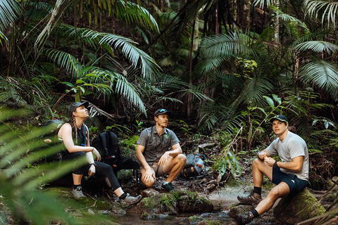 Cairns Rainforest Hiking Experience Incredible Mountains Remote Waterfall - Accommodation VIC 4