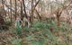 Cairns Rainforest Hiking Experience Incredible Mountains Remote Waterfall - thumb 8